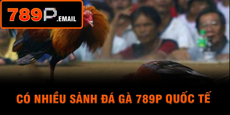 Có nhiều sảnh đá gà 789p quốc tế
