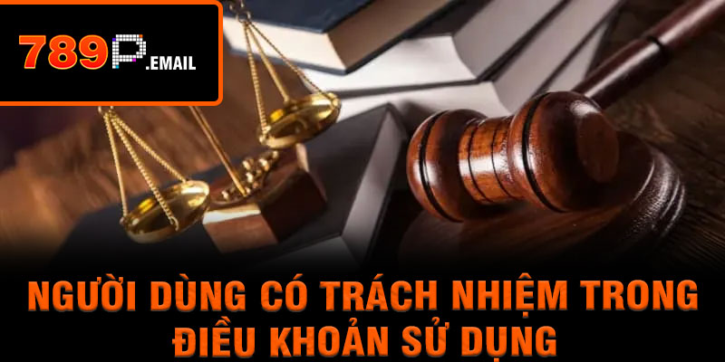 Người dùng có trách nhiệm trong điều khoản sử dụng